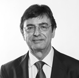 D. Fernando Gil Mediano